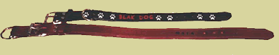 Dog Collars